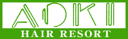 ヘアリゾートアオキバナー